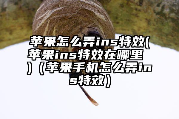 苹果怎么弄ins特效(苹果ins特效在哪里 )（苹果手机怎么弄ins特效）