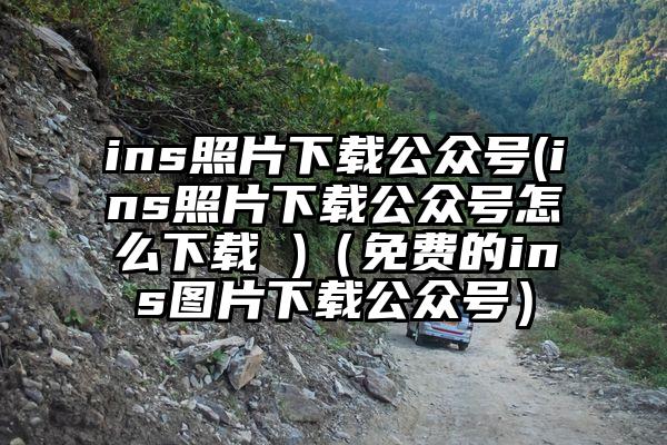 ins照片下载公众号(ins照片下载公众号怎么下载 )（免费的ins图片下载公众号）