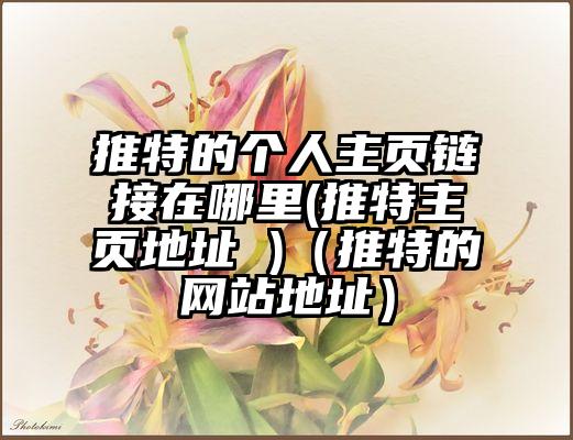 推特的个人主页链接在哪里(推特主页地址 )（推特的网站地址）