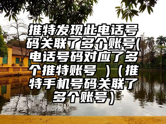 推特发现此电话号码关联了多个账号(电话号码对应了多个推特账号 )（推特手机号码关联了多个账号）