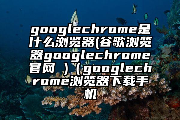 googlechrome是什么浏览器(谷歌浏览器googlechrome官网 )（googlechrome浏览器下载手机