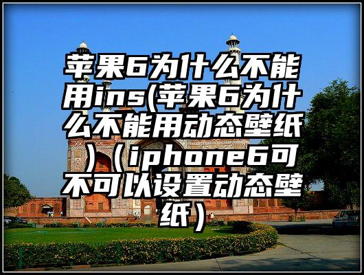 苹果6为什么不能用ins(苹果6为什么不能用动态壁纸 )(iphone6可不可以设置动态壁纸)