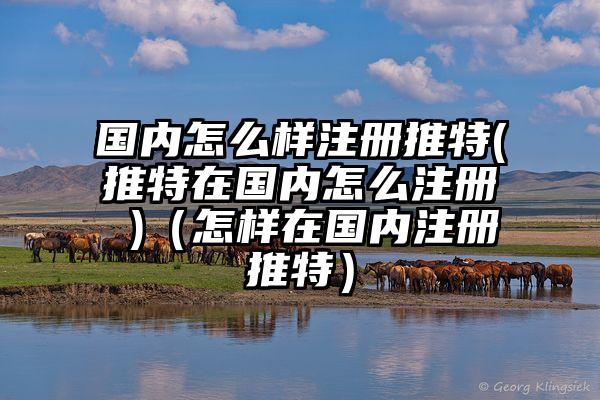 国内怎么样注册推特(推特在国内怎么注册 )（怎样在国内注册推特）