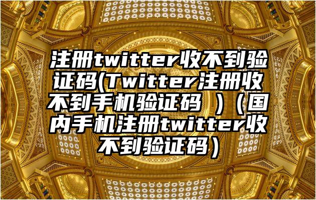 注册twitter收不到验证码(Twitter注册收不到手机验证码 )（国内手机注册twitter收不到验证码）