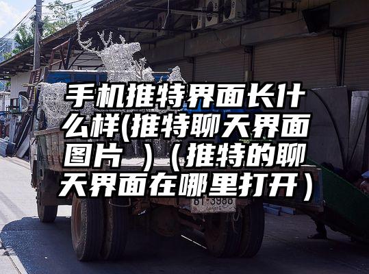 手机推特界面长什么样(推特聊天界面图片 )（推特的聊天界面在哪里打开）