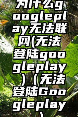 为什么googleplay无法联网(无法登陆googleplay )(无法登陆Googleplay)