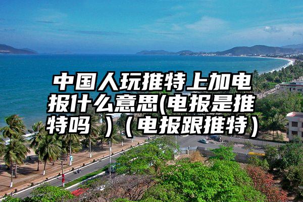 中国人玩推特上加电报什么意思(电报是推特吗 )(电报跟推特)