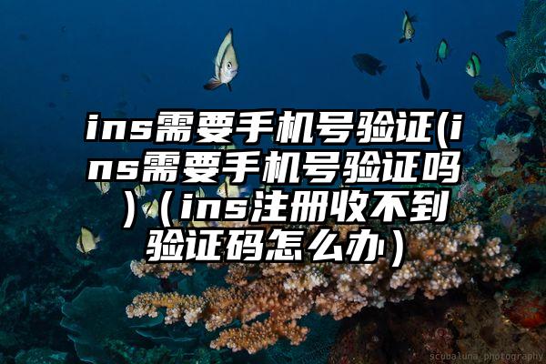 ins需要手机号验证(ins需要手机号验证吗 )(ins注册收不到验证码怎么办)
