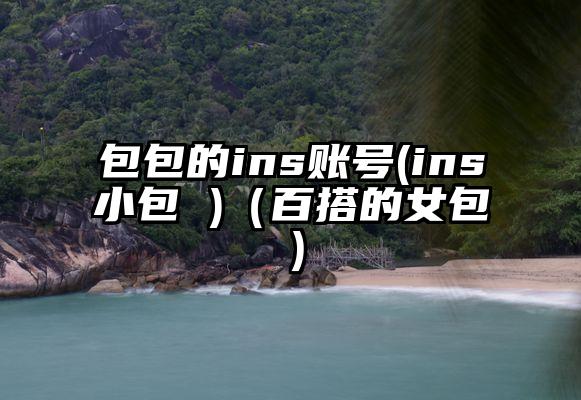 包包的ins账号(ins小包 )（百搭的女包）