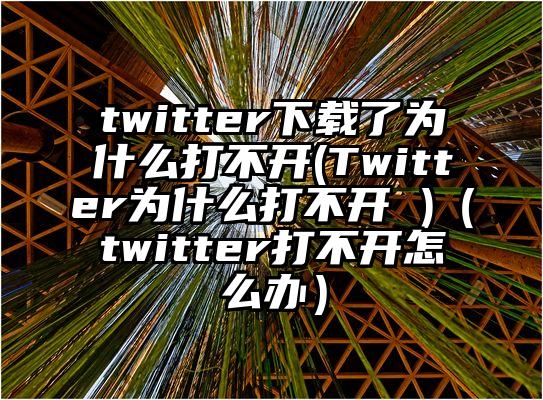 twitter下载了为什么打不开(Twitter为什么打不开 )（twitter打不开怎么办）