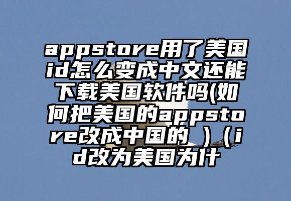 appstore用了美国id怎么变成中文还能下载美国软件吗(如何把美国的appstore改成中国的 )（id改为美国为什