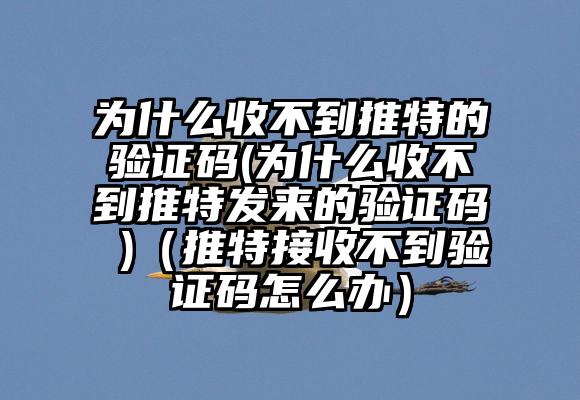 为什么收不到推特的验证码(为什么收不到推特发来的验证码 )（推特接收不到验证码怎么办）