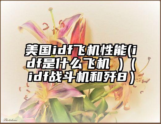 美国idf飞机性能(idf是什么飞机 )(idf战斗机和歼8)
