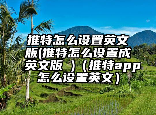 推特怎么设置英文版(推特怎么设置成英文版 )（推特app怎么设置英文）