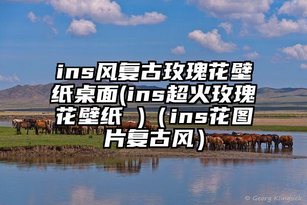 ins风复古玫瑰花壁纸桌面(ins超火玫瑰花壁纸 )（ins花图片复古风）
