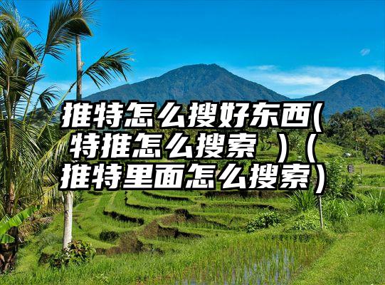 推特怎么搜好东西(特推怎么搜索 )（推特里面怎么搜索）