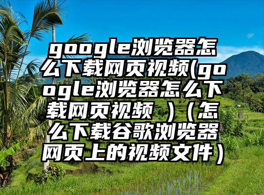 google浏览器怎么下载网页视频(google浏览器怎么下载网页视频 )（怎么下载谷歌浏览器网页上的视频文件）