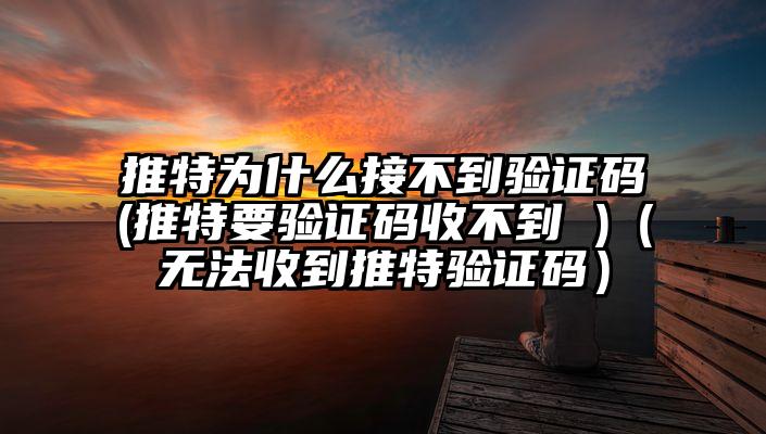 推特为什么接不到验证码(推特要验证码收不到 )（无法收到推特验证码）