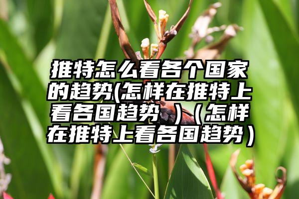 推特怎么看各个国家的趋势(怎样在推特上看各国趋势 )（怎样在推特上看各国趋势）