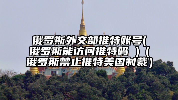 俄罗斯外交部推特账号(俄罗斯能访问推特吗 )（俄罗斯禁止推特美国制裁）
