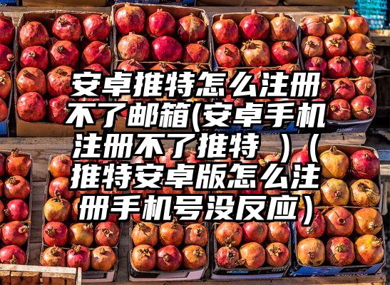 安卓推特怎么注册不了邮箱(安卓手机注册不了推特 )（推特安卓版怎么注册手机号没反应）