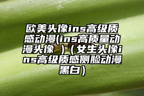 欧美头像ins高级质感动漫(ins高质量动漫头像 )（女生头像ins高级质感侧脸动漫黑白）