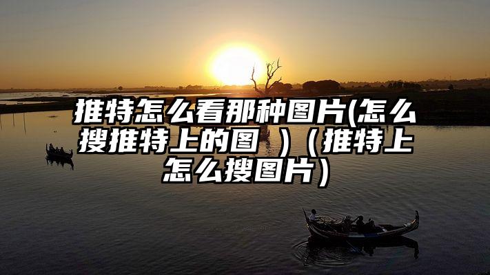 推特怎么看那种图片(怎么搜推特上的图 )（推特上怎么搜图片）