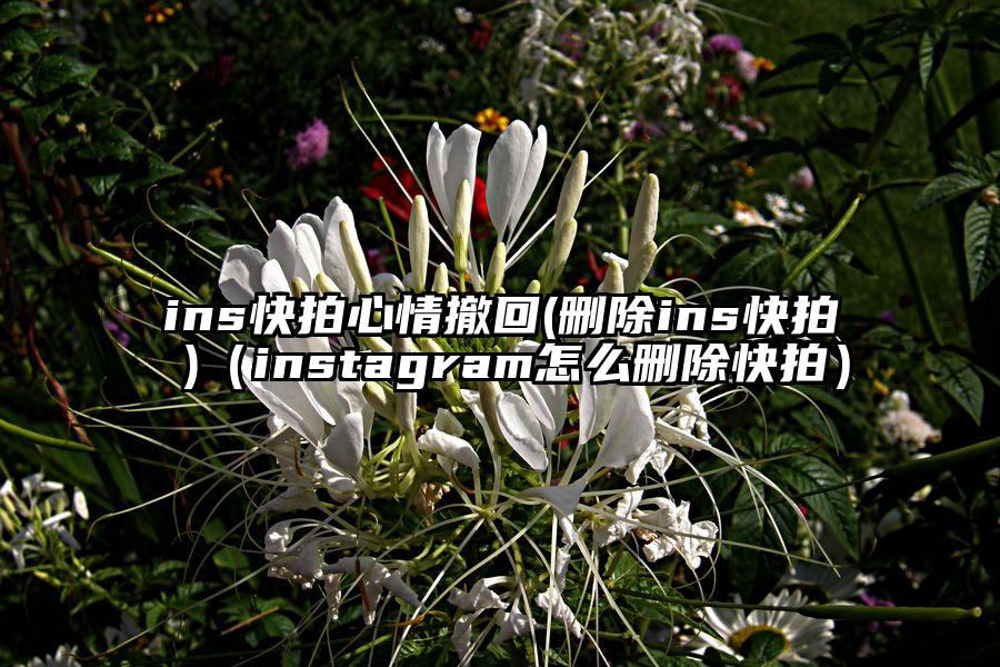 ins快拍心情撤回(删除ins快拍 )（instagram怎么删除快拍）