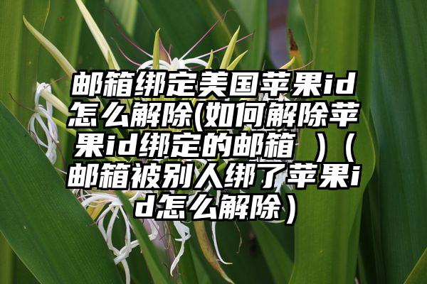 邮箱绑定美国苹果id怎么解除(如何解除苹果id绑定的邮箱 )（邮箱被别人绑了苹果id怎么解除）