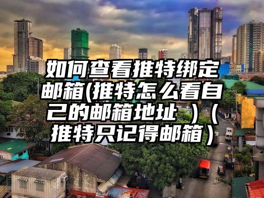 如何查看推特绑定邮箱(推特怎么看自己的邮箱地址 )（推特只记得邮箱）