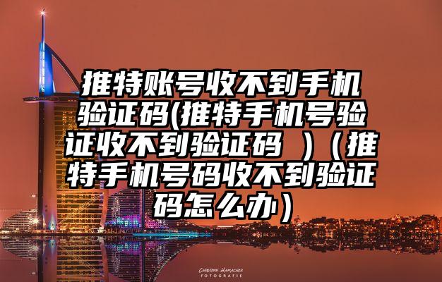 推特账号收不到手机验证码(推特手机号验证收不到验证码 )（推特手机号码收不到验证码怎么办）