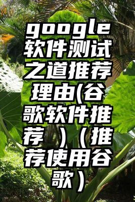 google软件测试之道推荐理由(谷歌软件推荐 )（推荐使用谷歌）