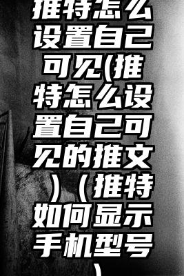 推特怎么设置自己可见(推特怎么设置自己可见的推文 )（推特如何显示手机型号）