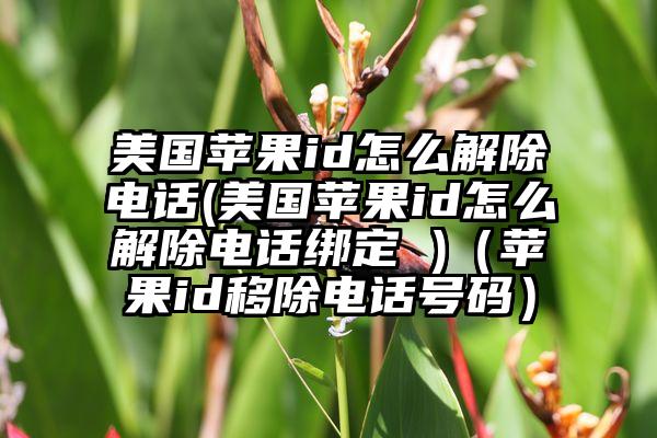 美国苹果id怎么解除电话(美国苹果id怎么解除电话绑定 )（苹果id移除电话号码）