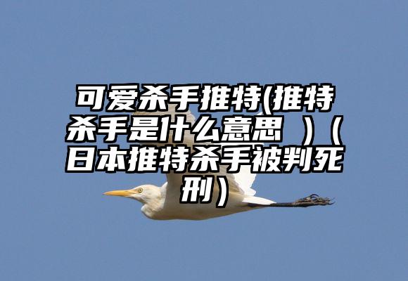 可爱杀手推特(推特杀手是什么意思 )（日本推特杀手被判死刑）