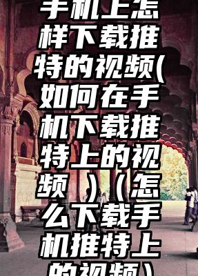 手机上怎样下载推特的视频(如何在手机下载推特上的视频 )（怎么下载手机推特上的视频）