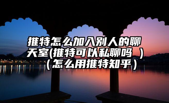 推特怎么加入别人的聊天室(推特可以私聊吗 )（怎么用推特知乎）