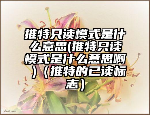 推特只读模式是什么意思(推特只读模式是什么意思啊 )（推特的已读标志）
