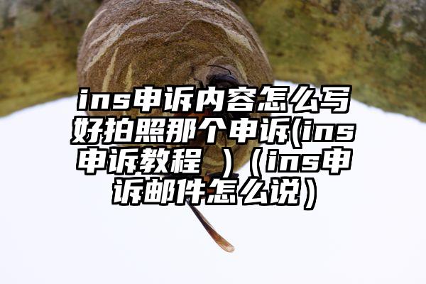 ins申诉内容怎么写好拍照那个申诉(ins申诉教程 )（ins申诉邮件怎么说）