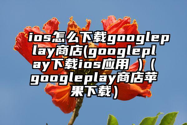 ios怎么下载googleplay商店(googleplay下载ios应用 )（googleplay商店苹果下载）