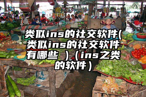 类似ins的社交软件(类似ins的社交软件有哪些 )（ins之类的软件）