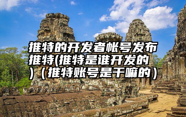 推特的开发者帐号发布推特(推特是谁开发的 )(推特账号是干嘛的)