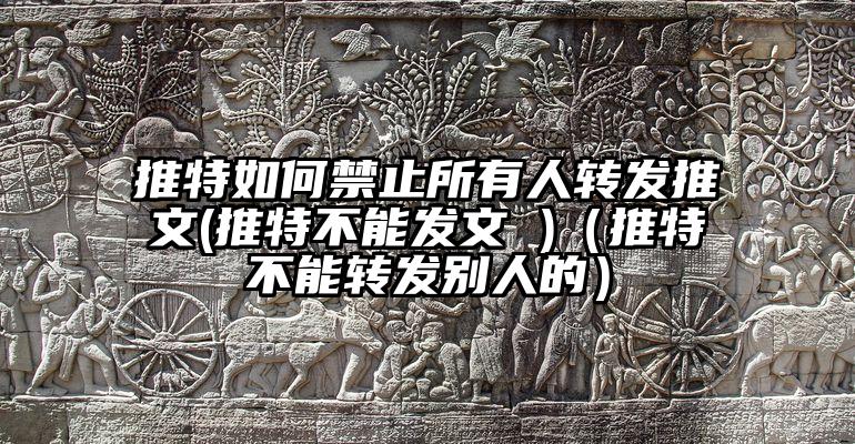 推特如何禁止所有人转发推文(推特不能发文 )（推特不能转发别人的）