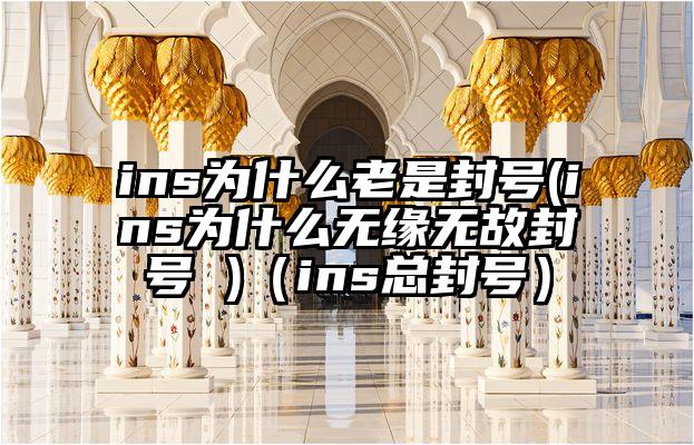 ins为什么老是封号(ins为什么无缘无故封号 )（ins总封号）
