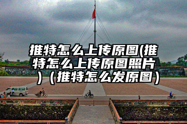 推特怎么上传原图(推特怎么上传原图照片 )（推特怎么发原图）