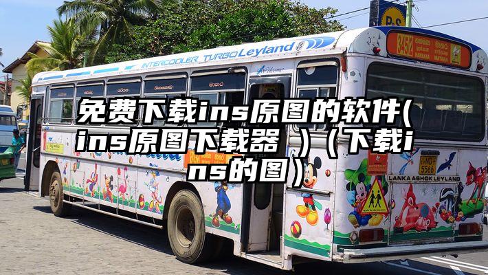 免费下载ins原图的软件(ins原图下载器 )（下载ins的图）