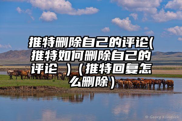 推特删除自己的评论(推特如何删除自己的评论 )（推特回复怎么删除）