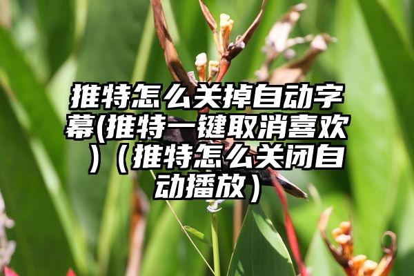 推特怎么关掉自动字幕(推特一键取消喜欢 )（推特怎么关闭自动播放）