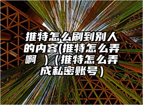 推特怎么刷到别人的内容(推特怎么弄啊 )（推特怎么弄成私密账号）