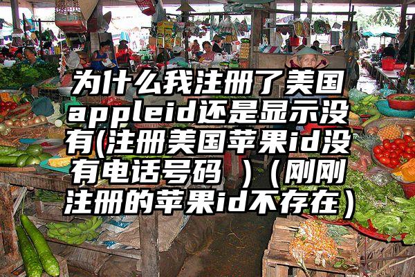为什么我注册了美国appleid还是显示没有(注册美国苹果id没有电话号码 )（刚刚注册的苹果id不存在）